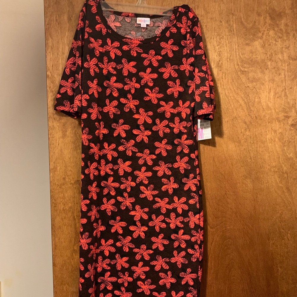 LulaRoe medium Julia dress